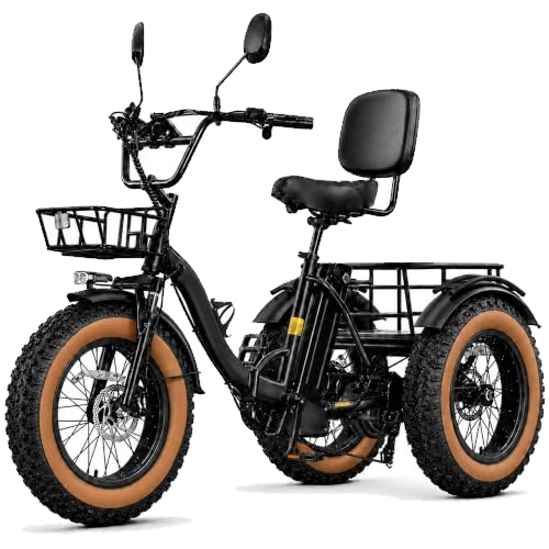 KAKIGO Electric Tricycle for Adults